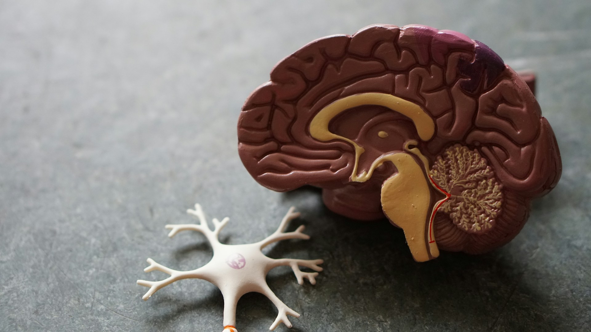 Cálculo renal: reconhecer sintomas, tratar com segurança e reduzir recorrência